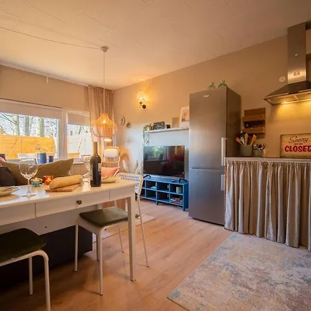 Lille Laegehus Apartment Hjorring
